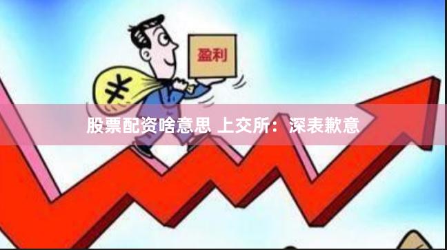 股票配资啥意思 上交所：深表歉意